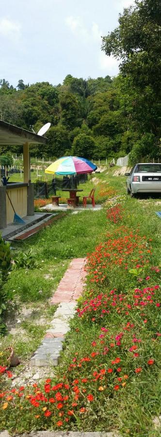 Kuntum Cottage Bed & Breakfast Kampung Tanjung Ipoh Exteriör bild